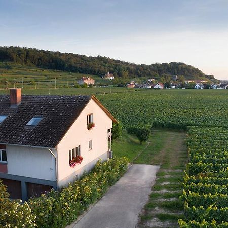 Ferienwohnung Winzerhof Henkenberg Niederrotweil Exterior foto