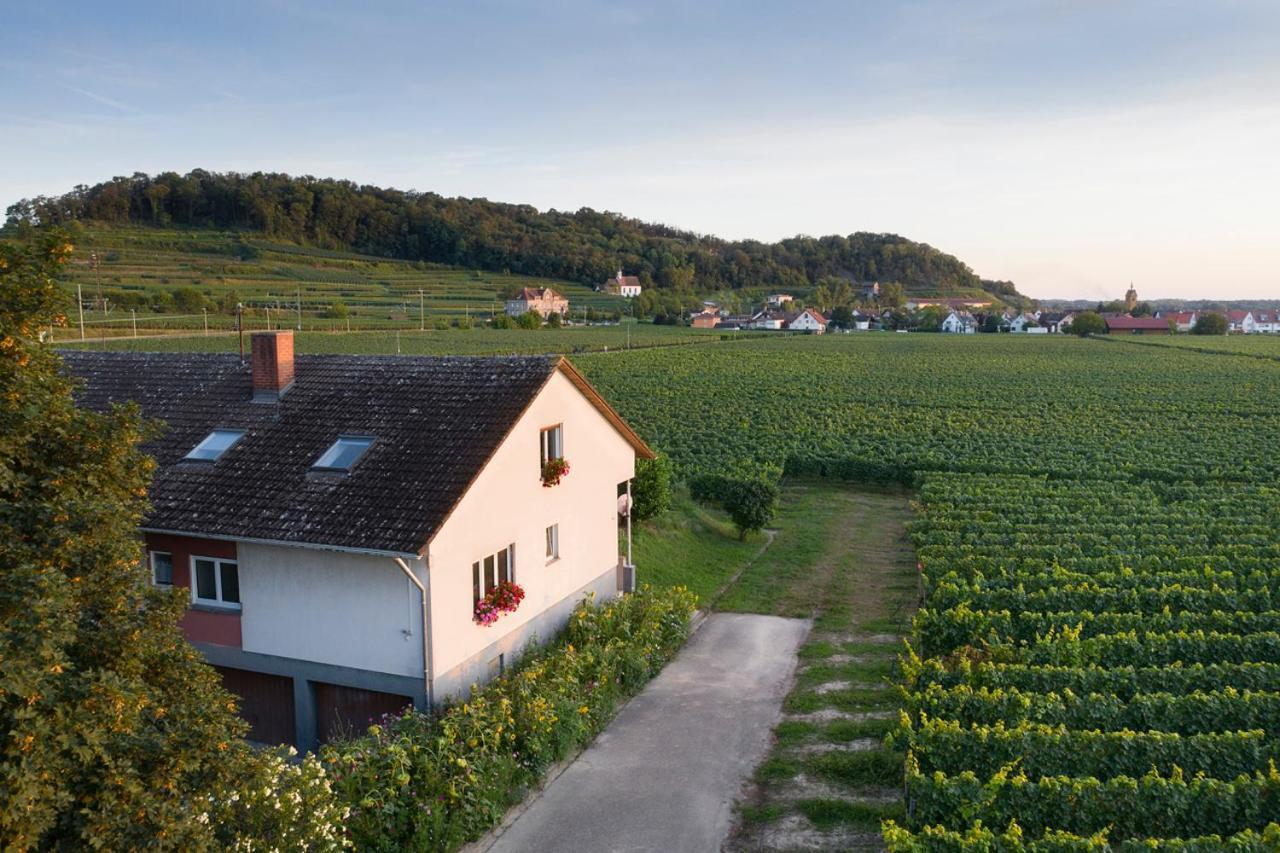 Ferienwohnung Winzerhof Henkenberg Niederrotweil Exterior foto